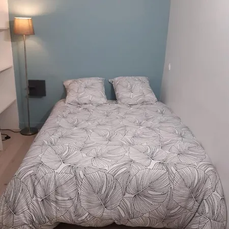 شقة Charmante Maison Dans Le Gers, Proche Et Centre-ville *